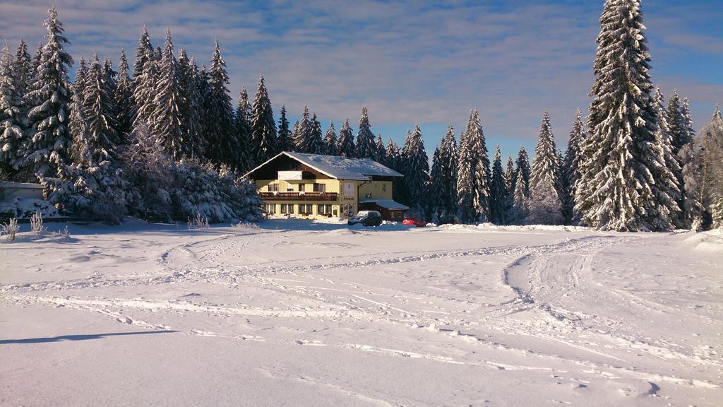 Pension Arberwald Bayerisch Eisenstein Exterior photo